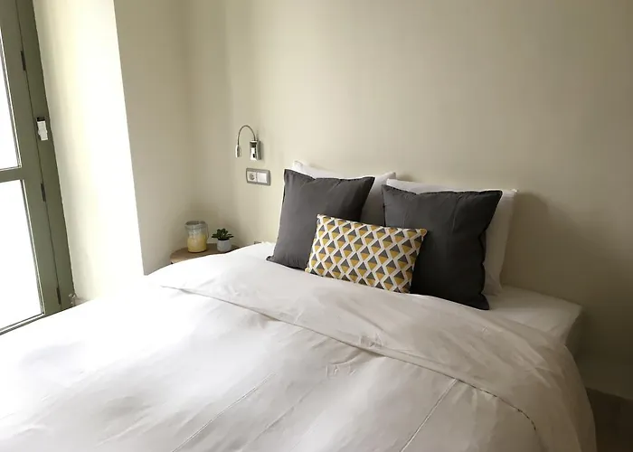 1e Azofaifo St Appartement